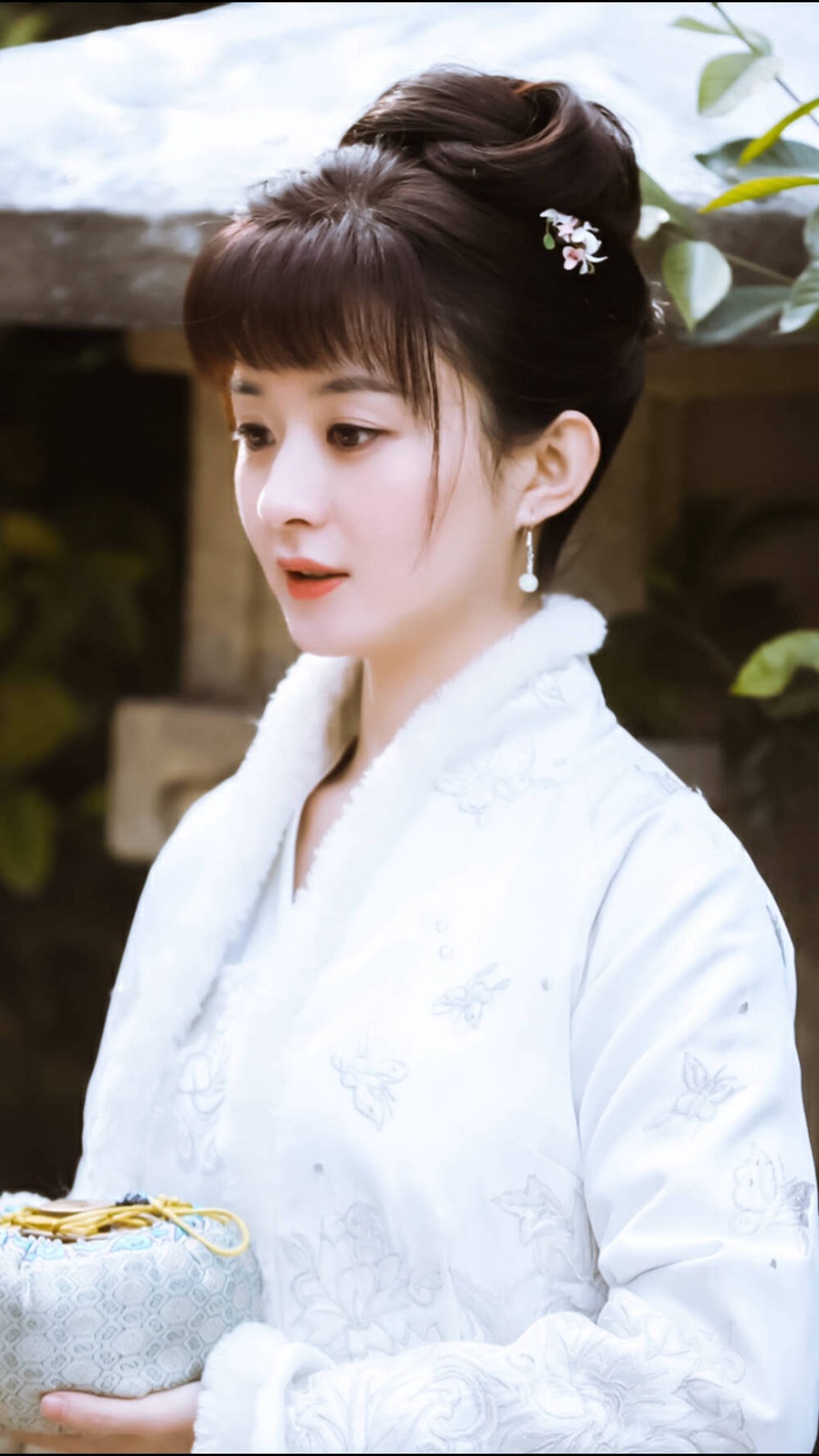 赵丽颖