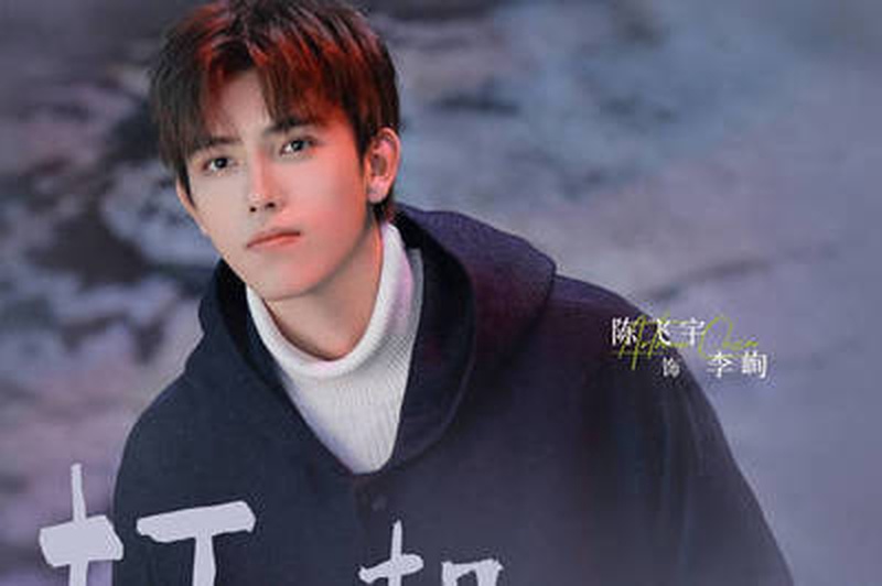 陈飞宇